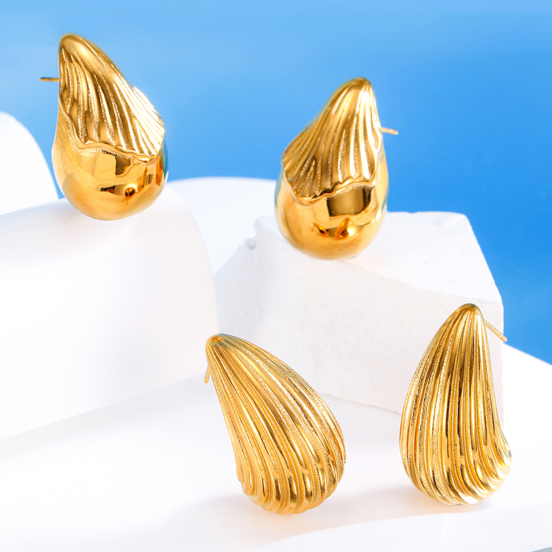 Ivanda Stainless Steel Earrings YHTSE-2501761